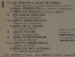 Damian Luca Avec Orchestra Nicu Stănescu-3