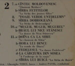 Damian Luca Avec Orchestra Nicu Stănescu-4