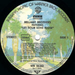 Bellamy Brothers-2