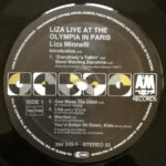 Liza Minnelli-3