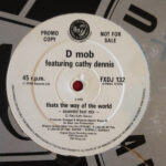 D Mob Featuring Cathy Dennis-0