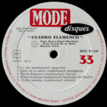 Cuadro Flamenco-2