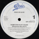 Dead Or Alive-2