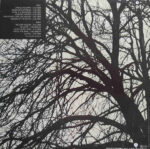 Donovan-1