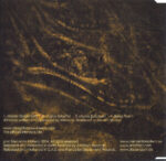 Interlace-2
