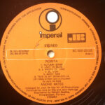 André Moss-3