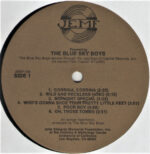 Blue Sky Boys-2