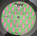 Echo & The Bunnymen-1
