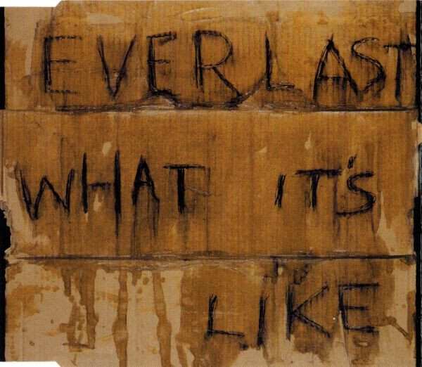Everlast-0