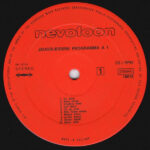 Ensemble Radostan-1