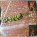 Gary Glitter-2