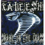 Caleesh-0