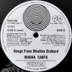 Magna Carta-3