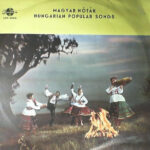 Jaroka-Gipsy-Orchester-0