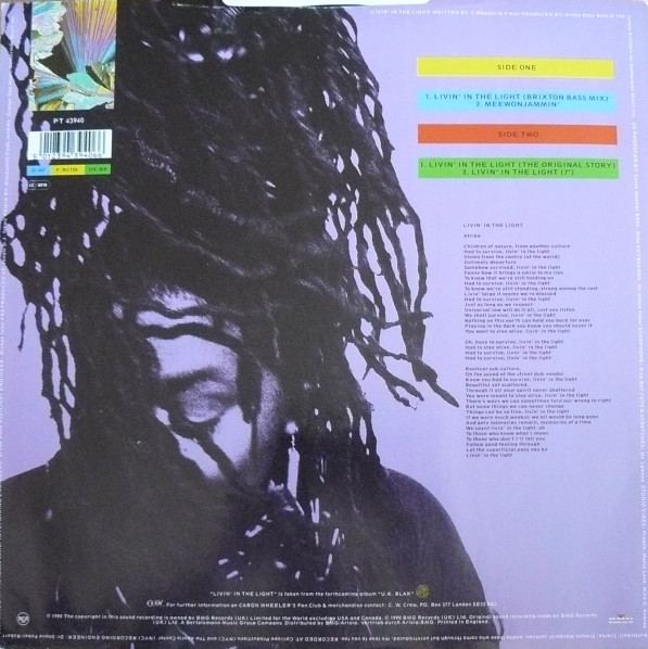 Caron Wheeler-1