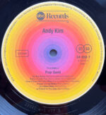 Andy Kim-2