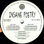 Insane Poetry-2
