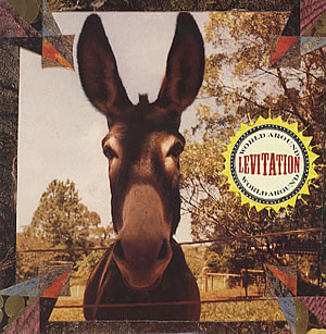 Levitation (2)-0