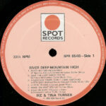 Ike & Tina Turner-2