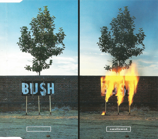 Bush-0