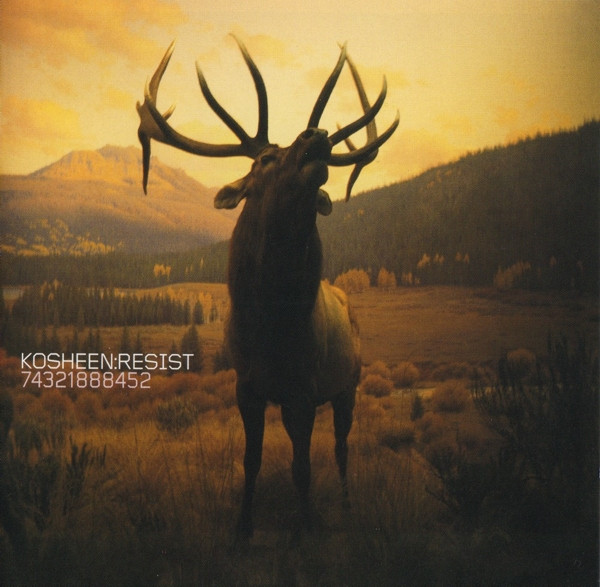 Kosheen-0