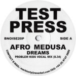 Afro Medusa-0