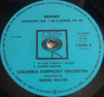 Johannes Brahms - Bruno Walter Conducting Columbia Symphony Orchestra-2