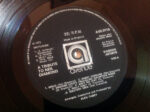 Alan Caddy-2