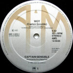 Captain Sensible-2