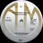 Captain Sensible-3