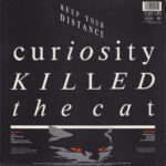 Curiosity Killed The Cat-1