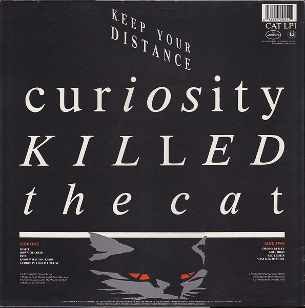 Curiosity Killed The Cat-1