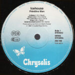 Icehouse-2