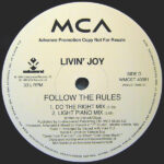 Livin' Joy-3
