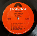 Link Wray-4