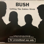 Bush-0