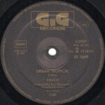 Falco-3