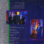 Icehouse-4