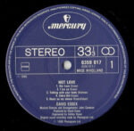 David Essex-2