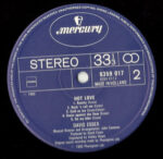 David Essex-3