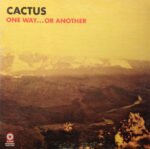 Cactus (3)-0