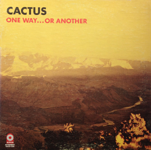 Cactus (3)-0