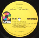 Cactus (3)-4