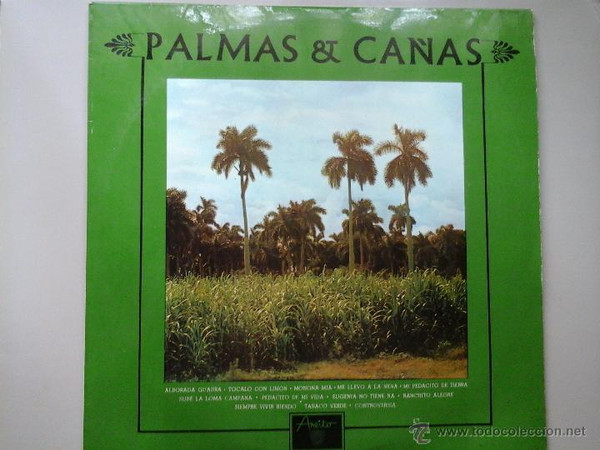 Conjunto Palmas Y Cañas-0