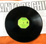Charo Cofré-3