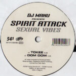 DJ Manu Presents Spirit Attack-1