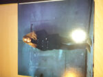 Juliane Werding-3
