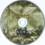 Abigail Williams-2